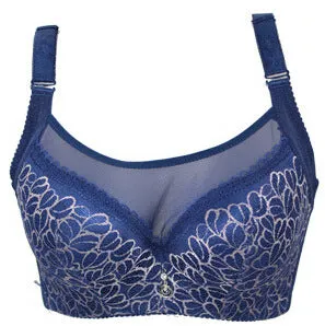 Push Up Intimates Female Bra