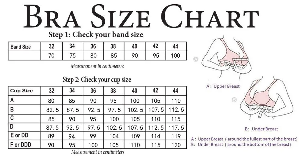 Push Up Intimates Female Bra